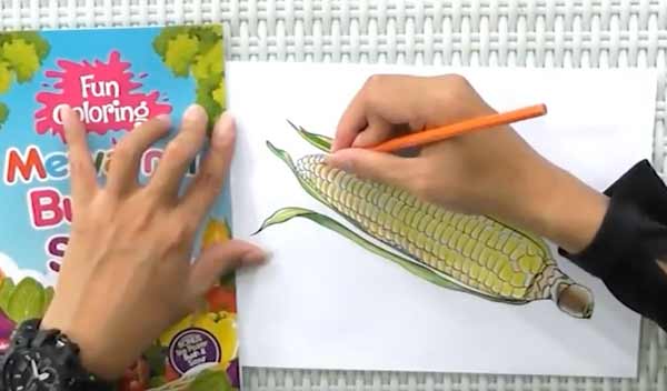 Mewarnai Buah Sayur Pensil Warna Bonus Buku Fun Coloring Gambar