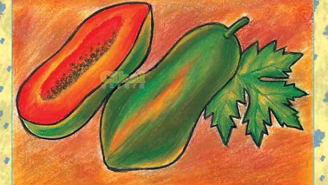 Mewarnai Buah Pepaya Dengan Oil Pastel