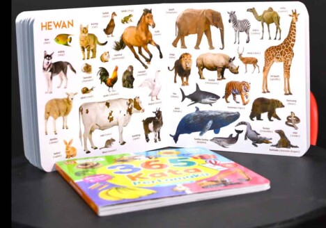 buku 365 kata pertamaku