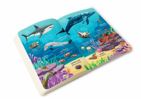 Mockup Isi Buku 100 Hewan Pertamaku Cikal Aksara